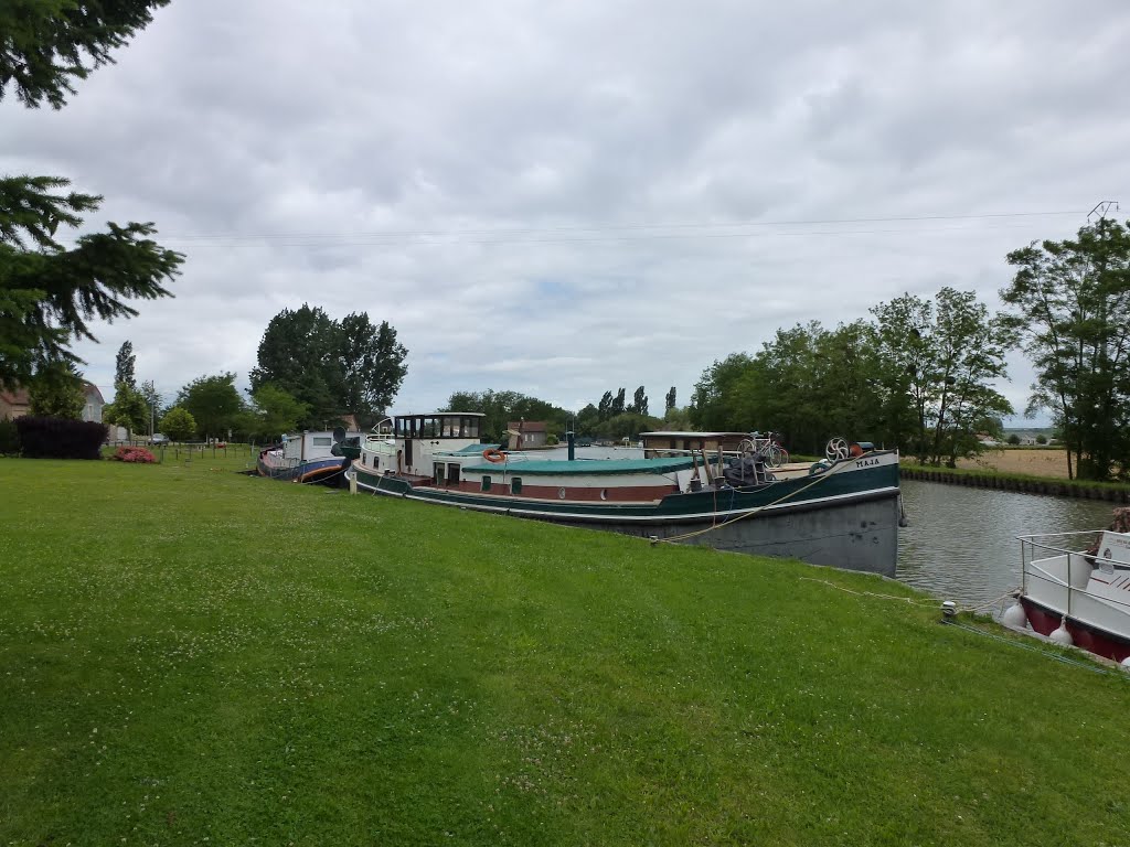 Canal latéral à la Loire. PK 52. Vanneaux_130623 by Martin Dudle-Ammann