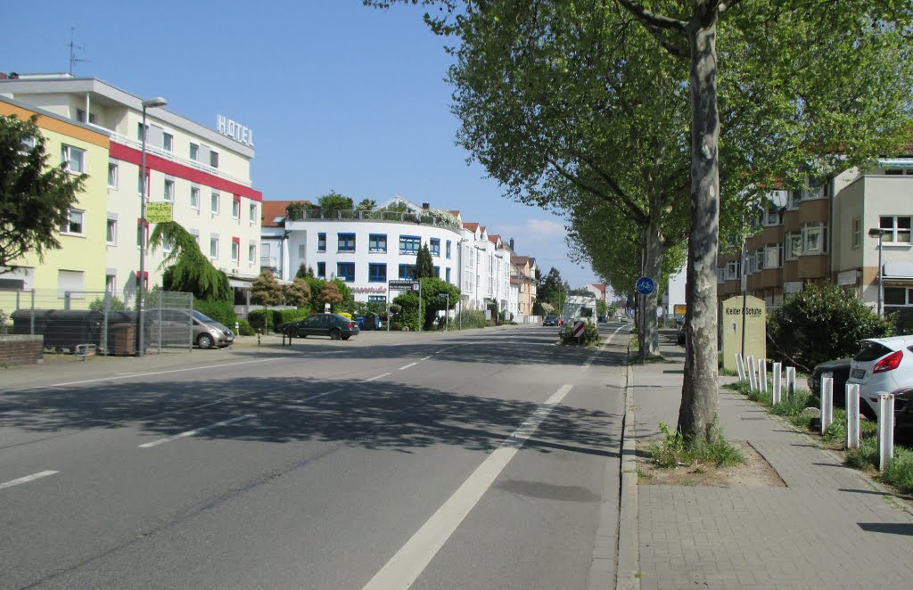 Radweg Maudacher Straße Ludwigshafen by HaraldSogl