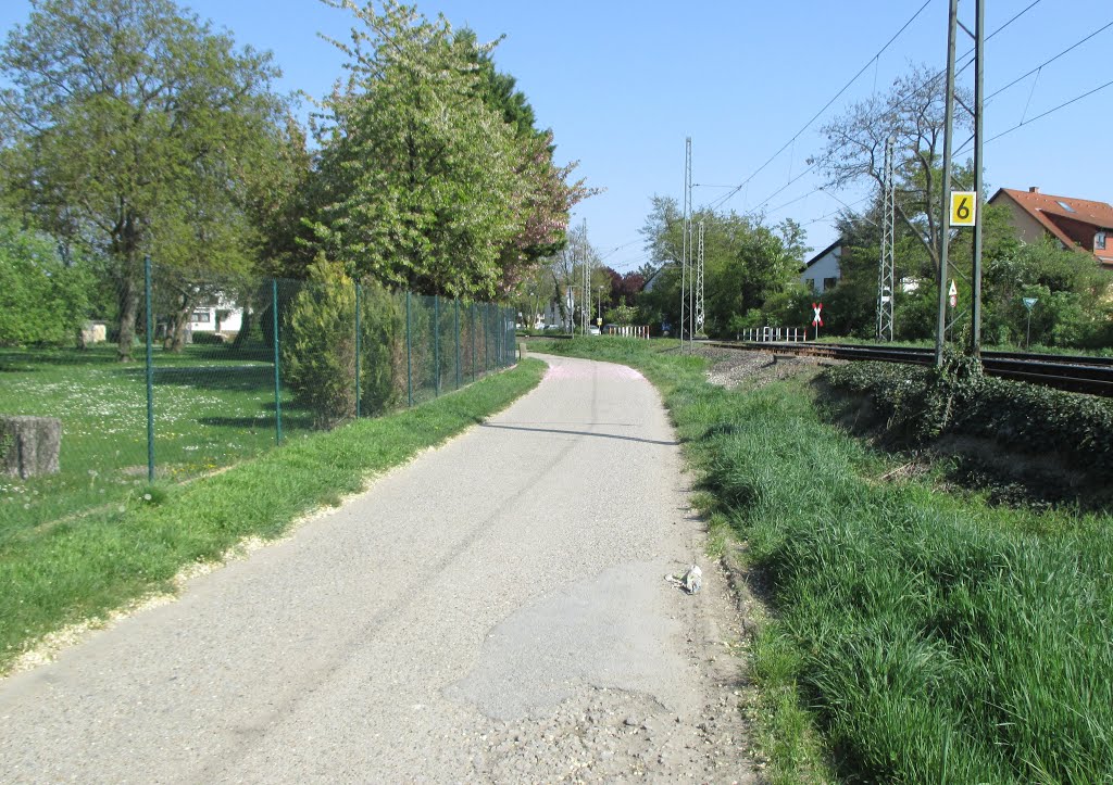 Radweg Maxdorf - Ruchheim - verbesserunswürdig ! by HaraldSogl