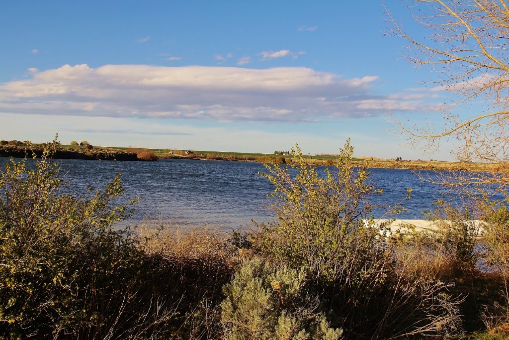 Milner Reservoir on the Snake River by elkbender257