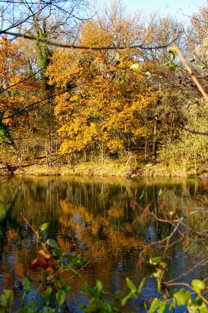 Herbststimmung an der Saale in Weißenfels by reggaeboy