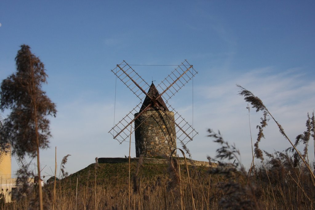 Gifhorn - Französische Windmühle "Alphonse Daudet" by snakyone