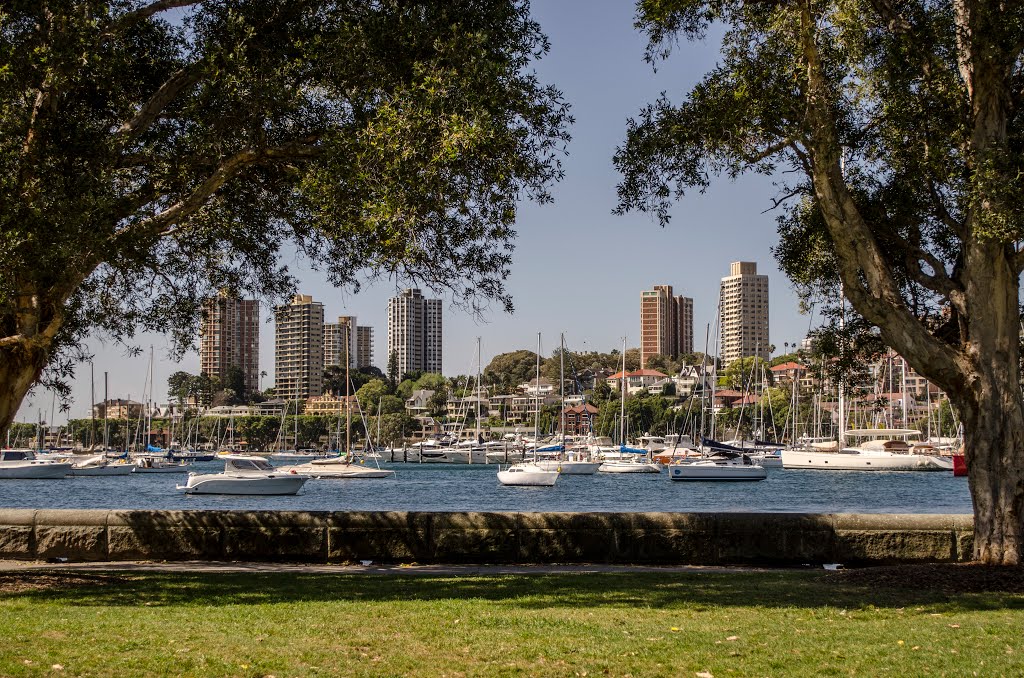 Rushcutters Trees (Sep '13) by laztozia