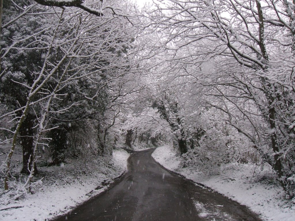 April-snow on Singledge Lane by StuckenPeter