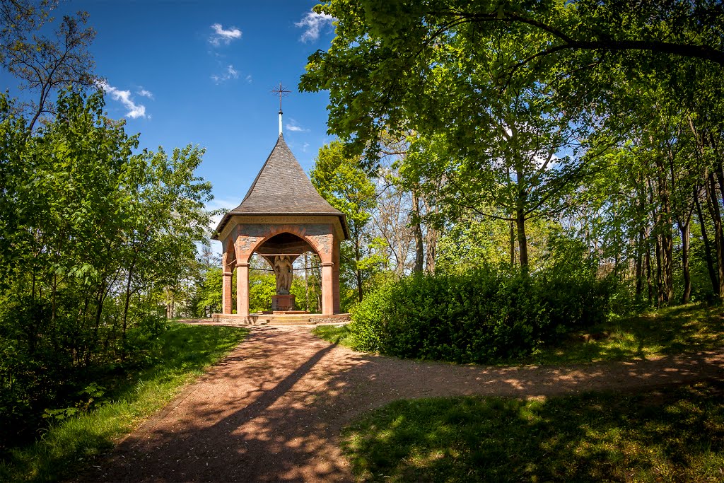 Denkmal an die Gefallenen in Aschaffenburg/Damm by Umfli