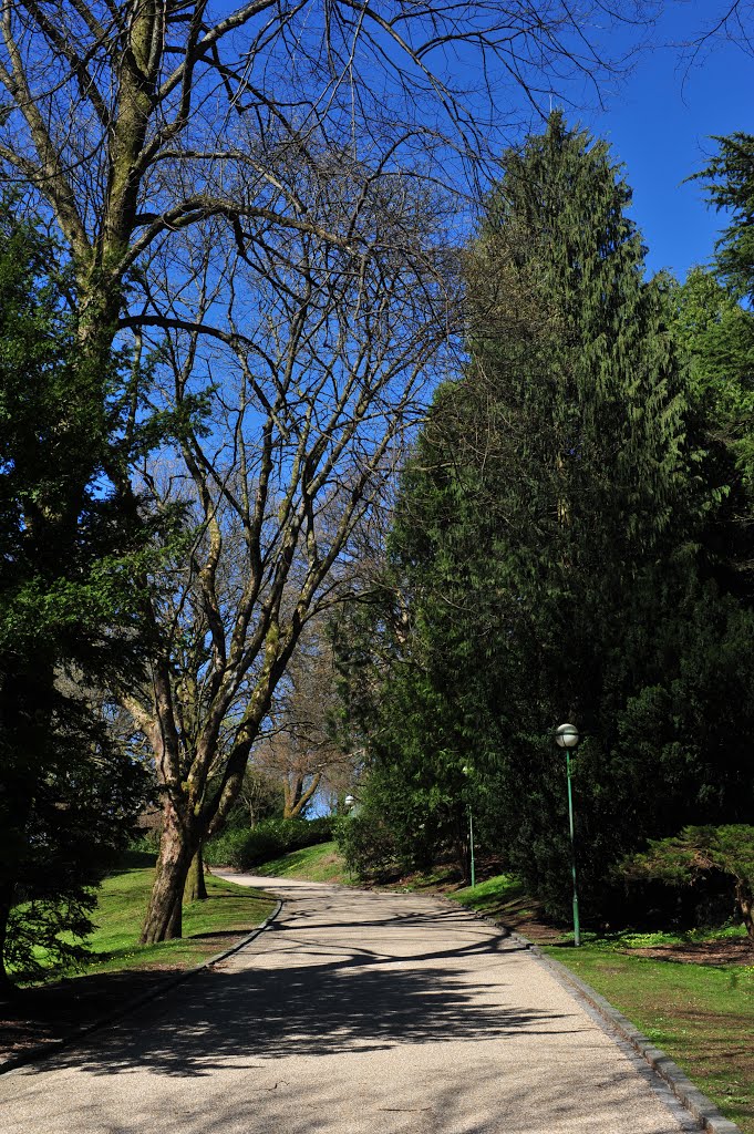 Park of Nygaard by Gunnar E Eide