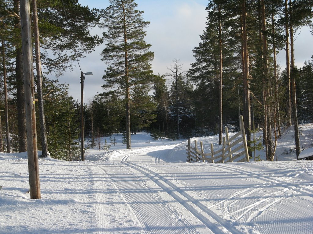 Längdåkning i Lindvallen by Magnus Stålesjö