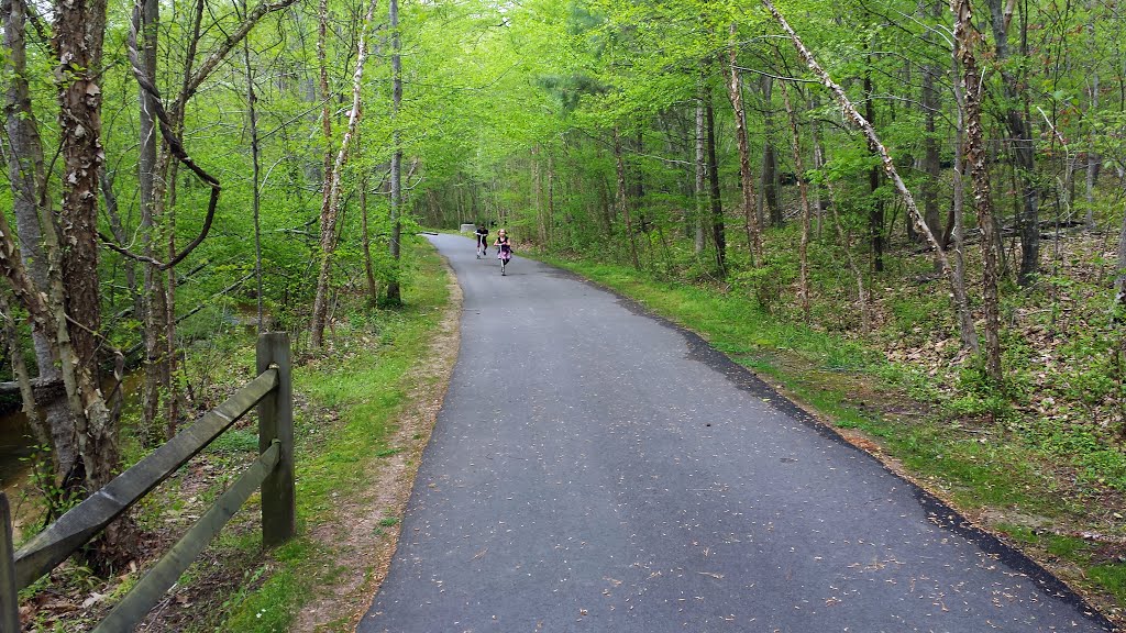 White Oak Creek Greenway by Jan Solar