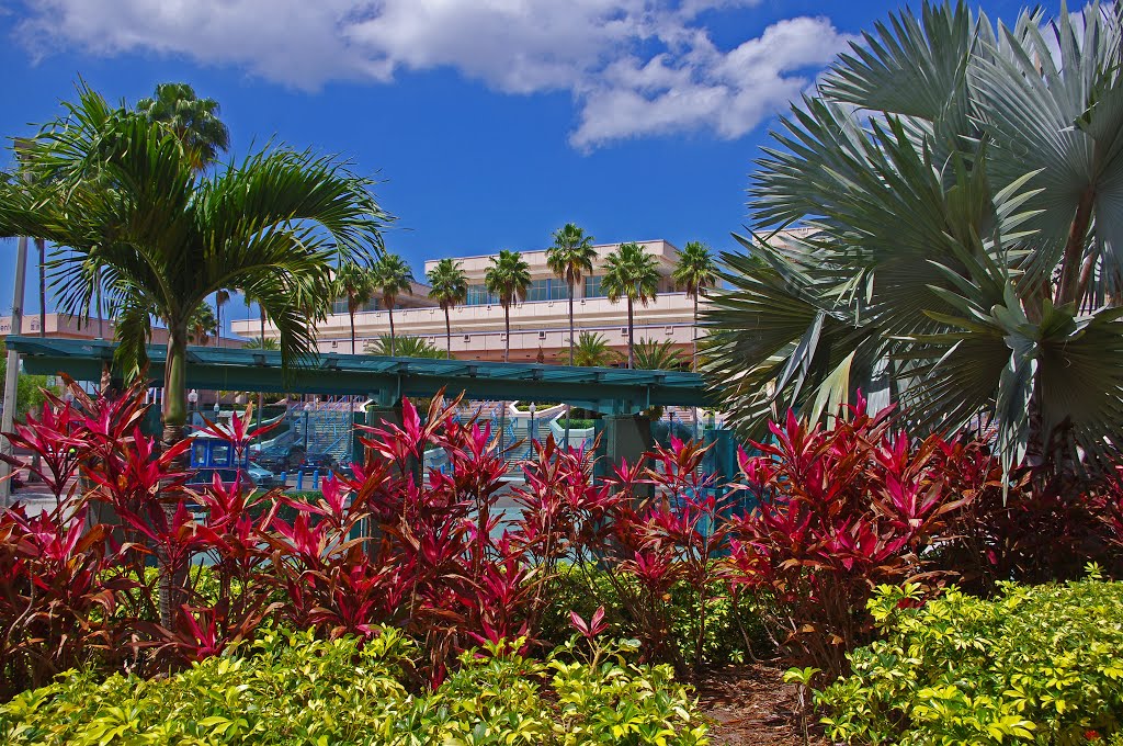 Dick Greco Plaza Transportation Center garden, Tampa by Todd Stradford