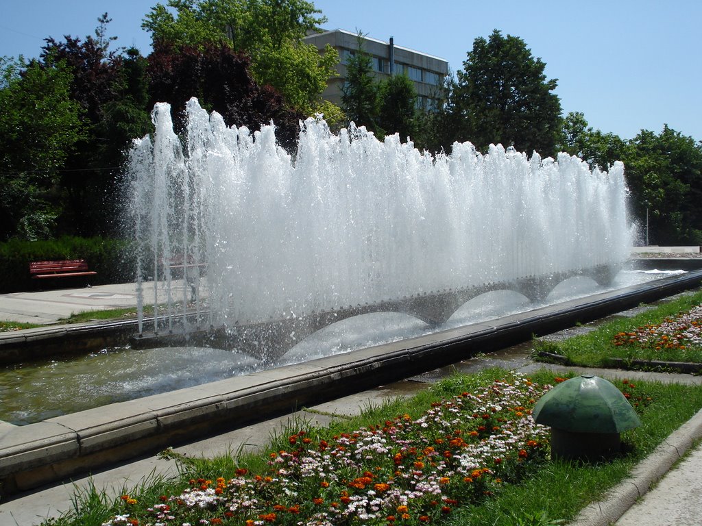 Braila, Romania by Andreea Cristiana