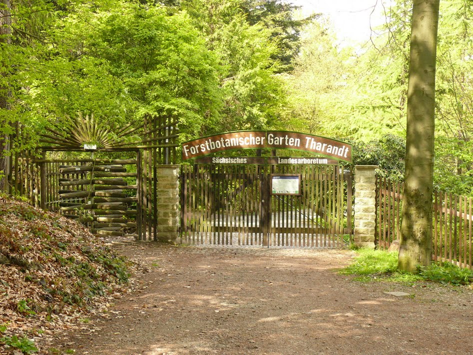 Forstbotanischer Garten by mathias.b