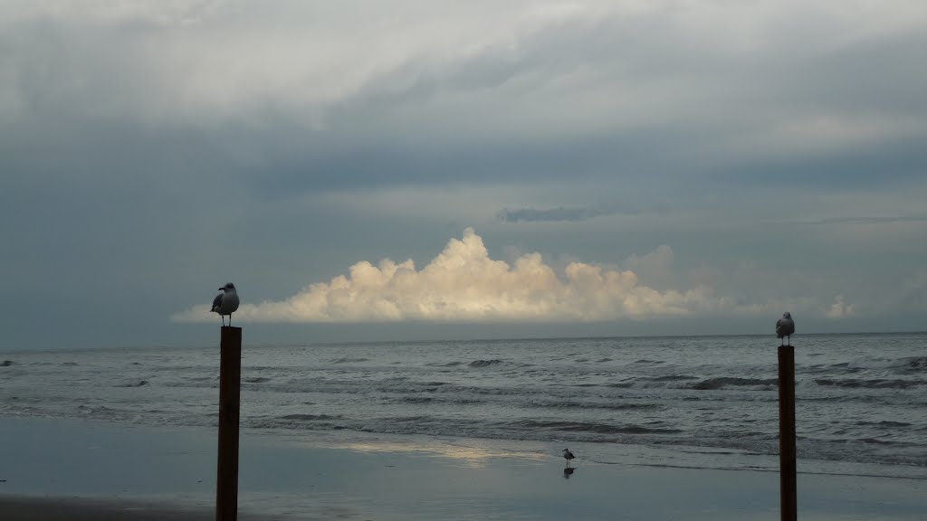 After the Storm. Jamaica Beach by Electric Dumpster