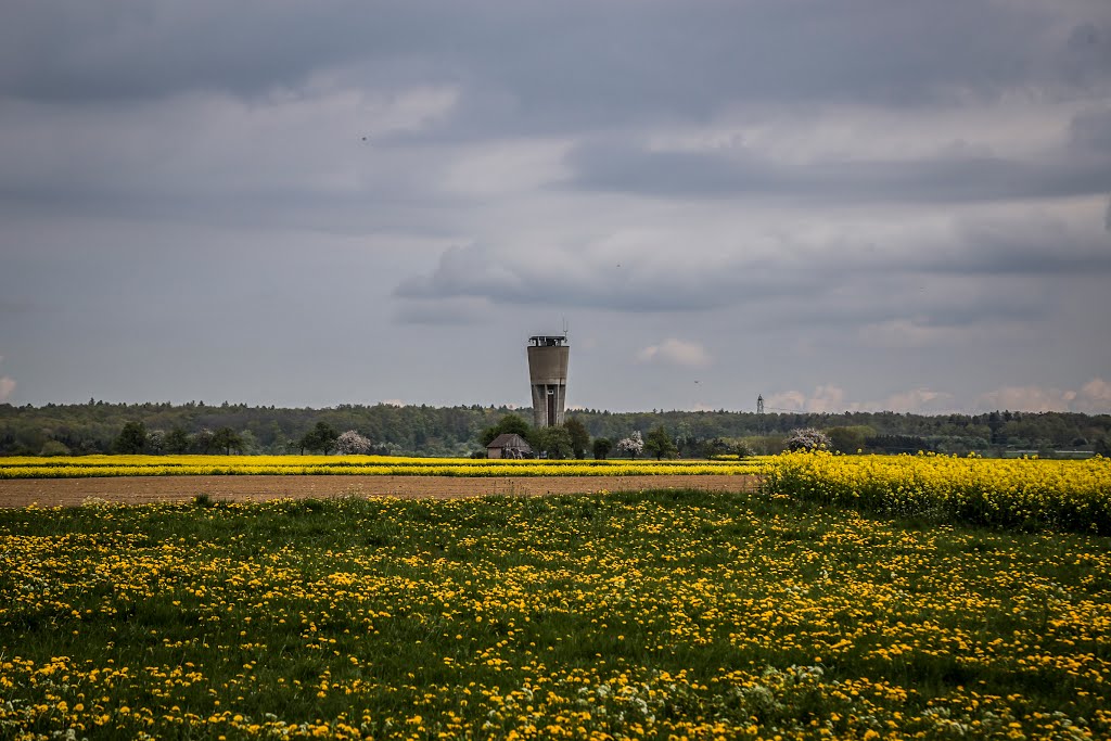 Altdorfer Wasserturm by hiroorih