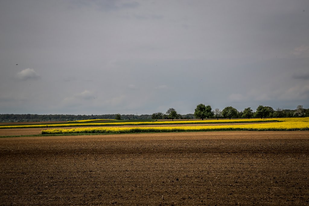 Landschaft um Altdorf by hiroorih