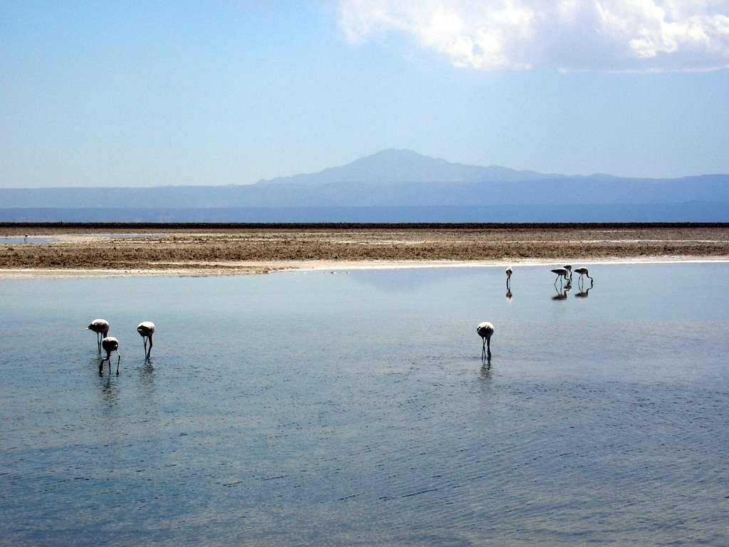 Laguna Chaxas by Carlos Tambley Roman…