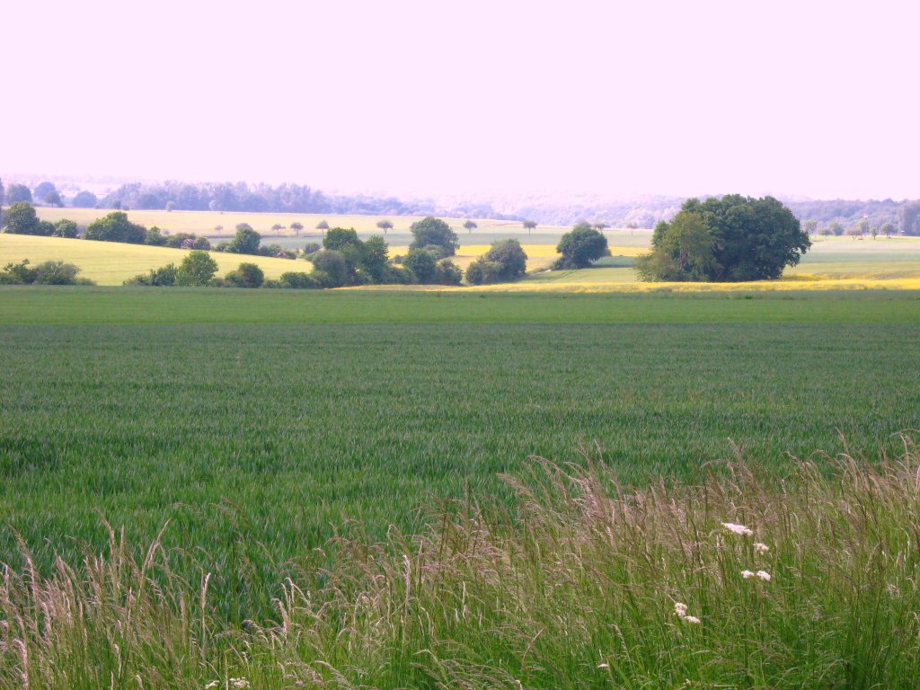 Soester Börde by UlRai