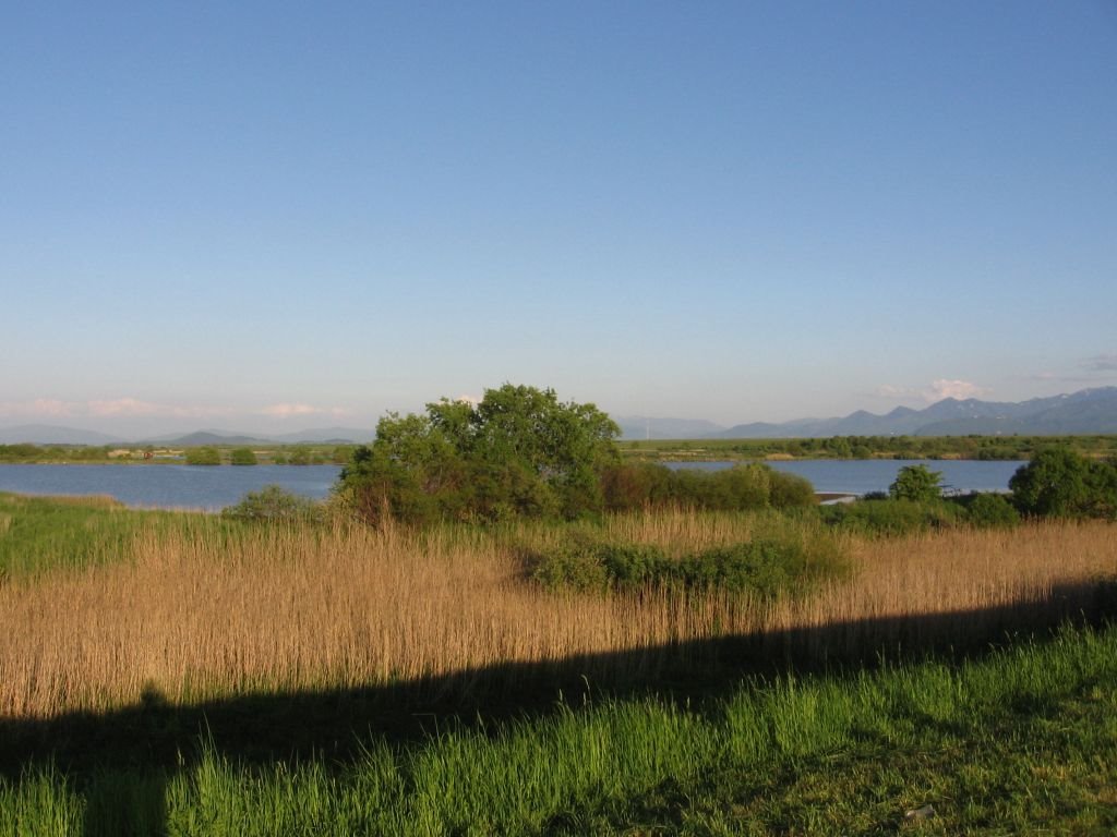 Dumbravita Lake near Brasov by tekzen