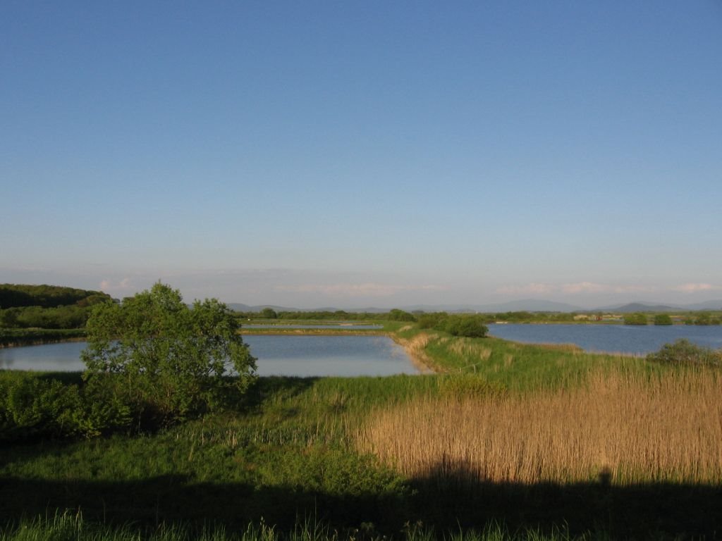 Dumbravita Lake near Brasov by tekzen