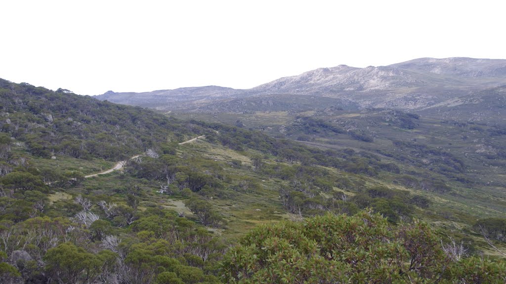 On the road to Mt Kosciuszko by snucklepuff