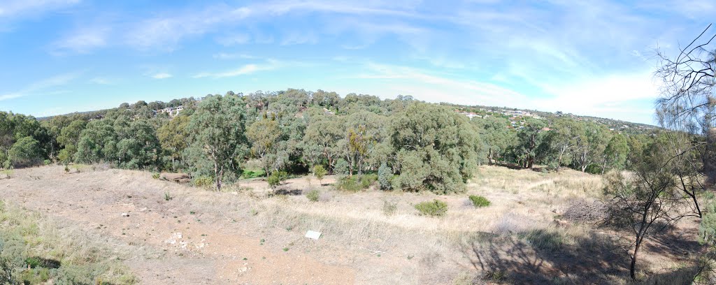 Mike Green Trail by Dan Gee