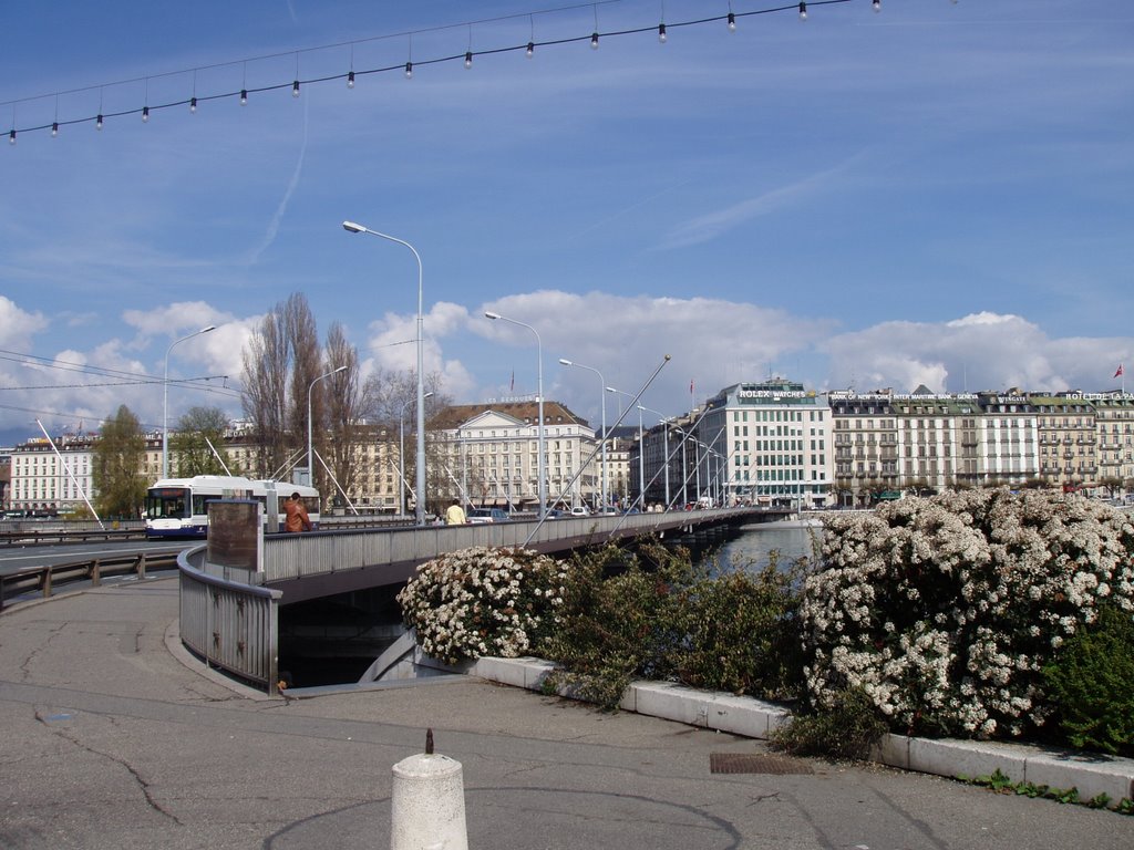 Geneve (Switzerland) Pont du Mont Blanc by Pedro Veiga