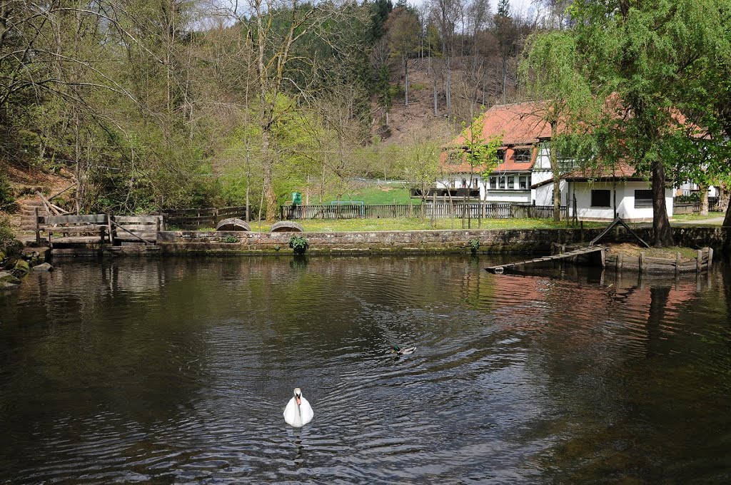 Teich an der Klug`schen Mühle by hadewephoto