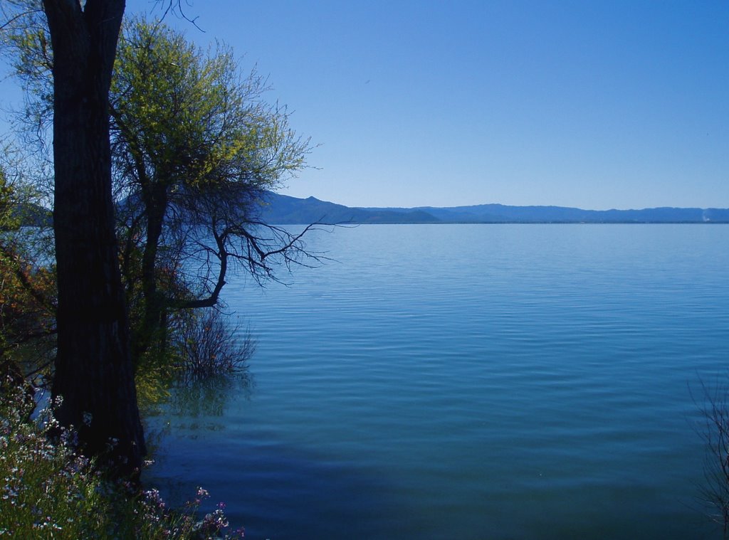 Clear Lake near Nice, CA by Riley Reagan