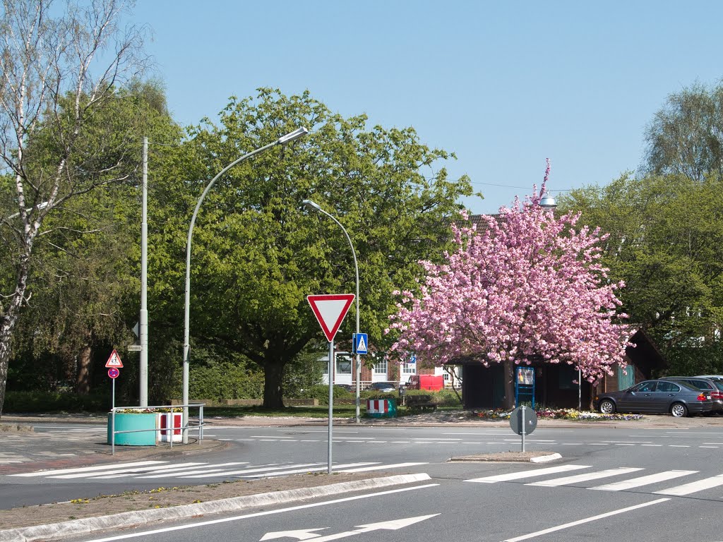 So sieht der Voslapper Frühling aus. by w.w