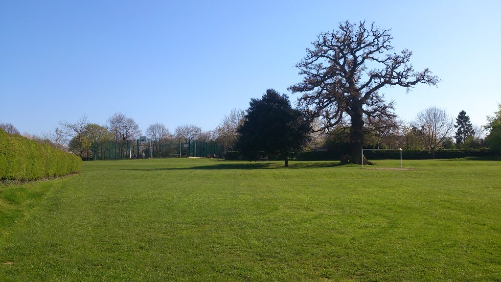 Old Basing and Lychpi Recreation Ground, Basingstoke, Hampshire, UK by Michael Boks