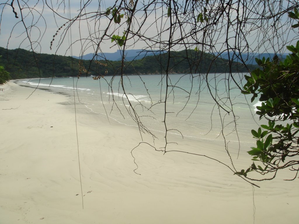 Praia de Palmas - Ilha Anchieta by Alexandre Fraceto