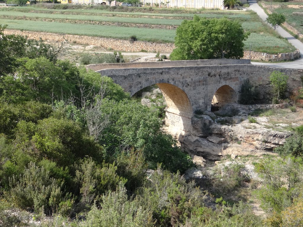 PONT DE L'OLIVAR II by Virgili Verge