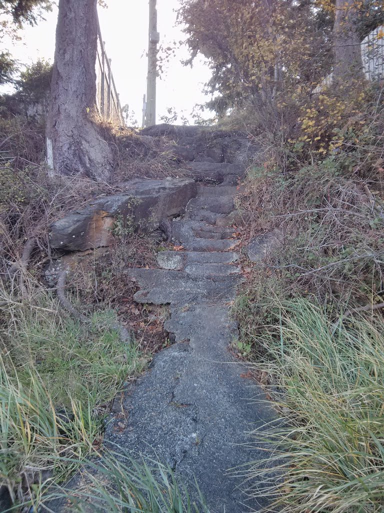 Trail to beach, Nanoose Bay by Landsharkz