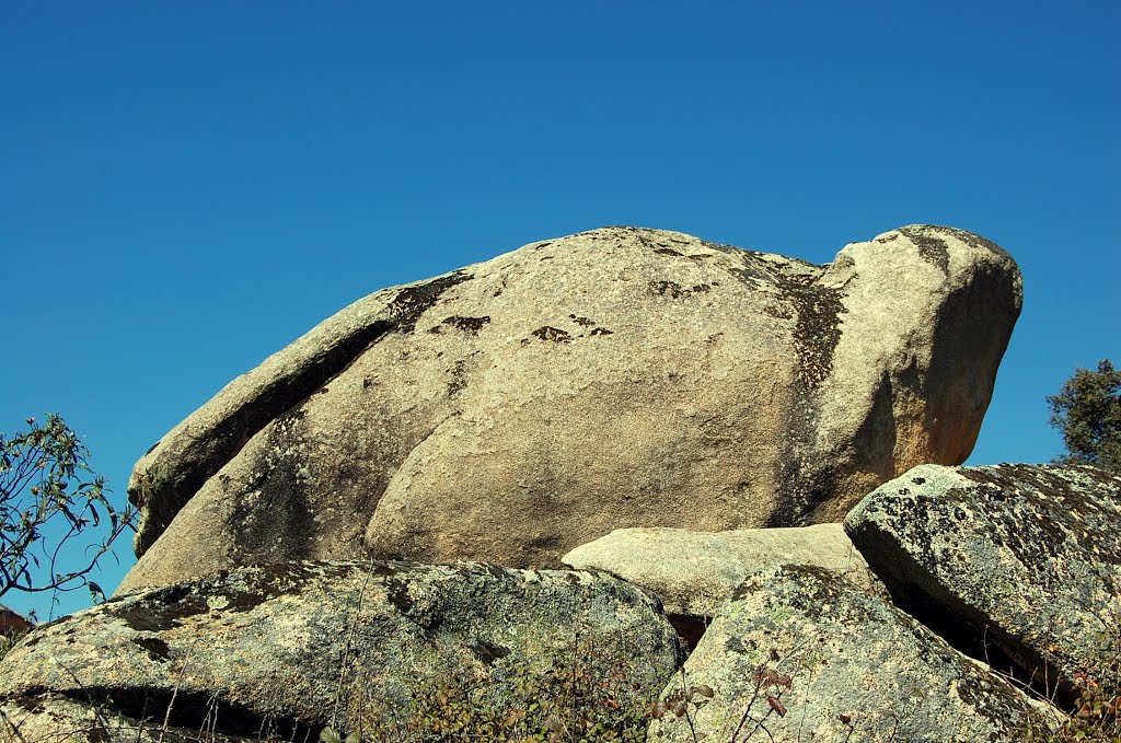 Tortuga de piedra by viajeroinquieto