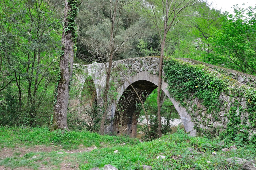 Sadernes: Pont d'en Valentí 1 by salvador soler vilavella