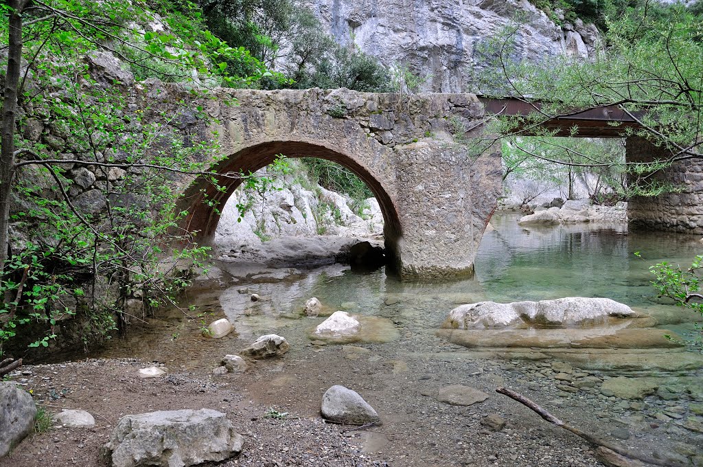 Sadernes: Pas sobre la riera de Sant Aniol d'Aguja by salvador soler vilavella