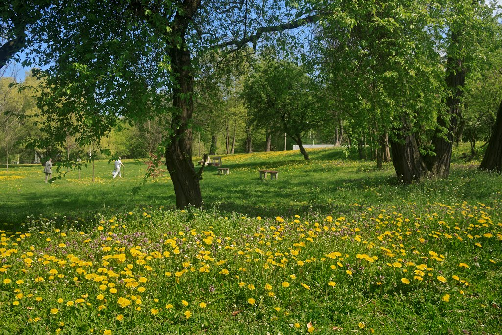 Wiosenny Park nad Wartą by Grzegorz Przech