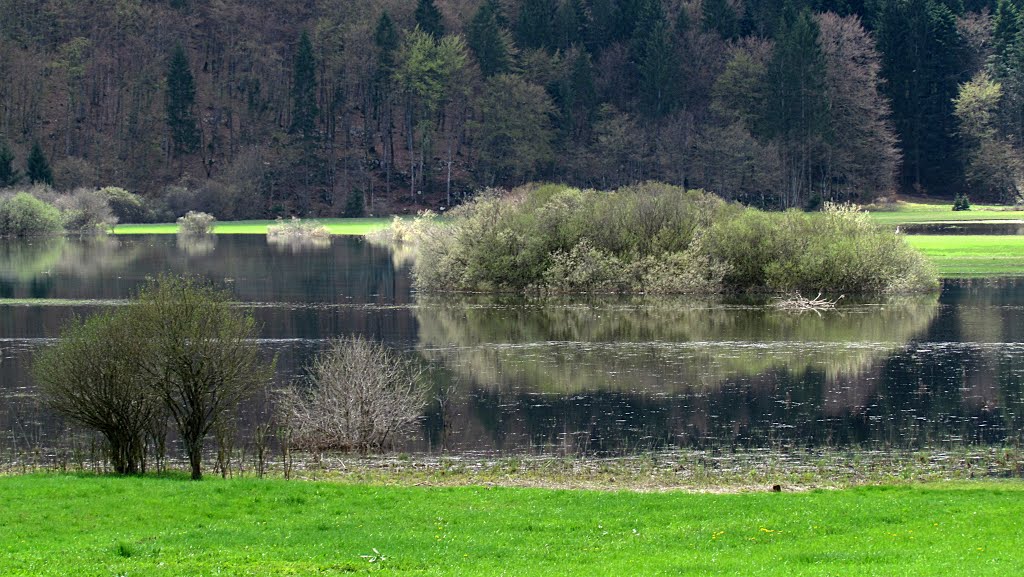 Lake reflections by emil sluga