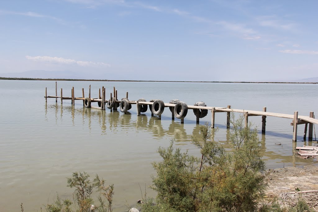 Salton Sea pier near Sonny Bono Wildlife Refuge by EricHanscom