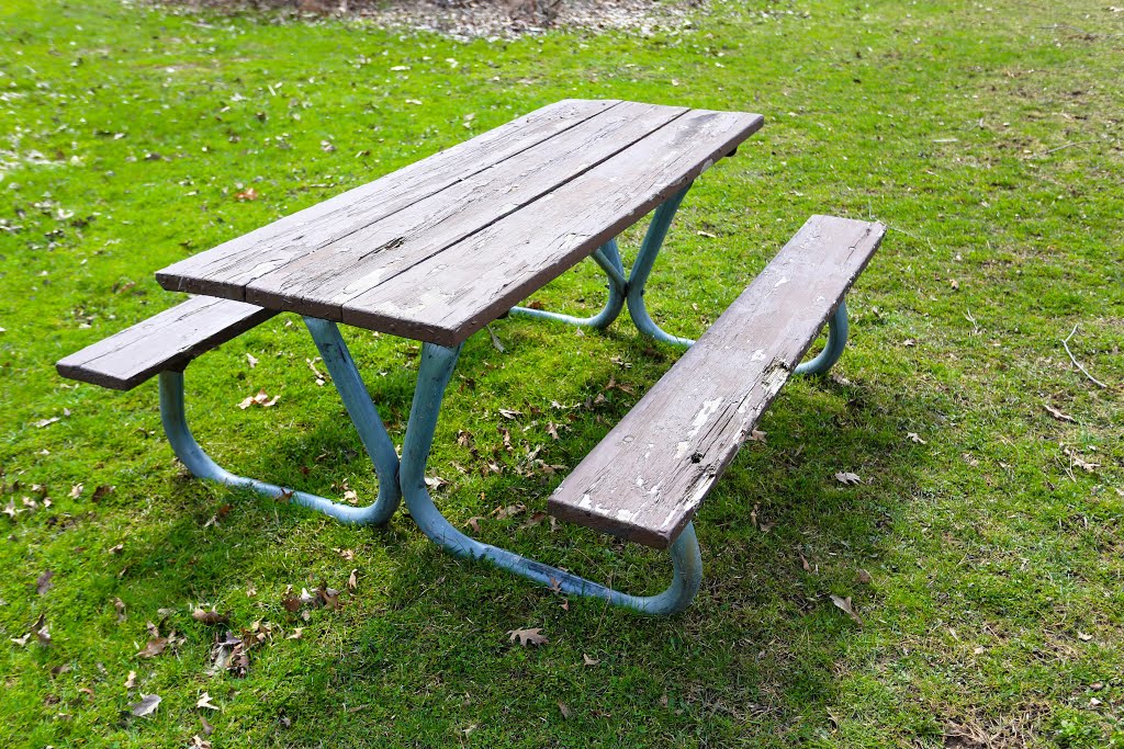 Braddock Bay Park Typical picnic bench by Rochester Parks