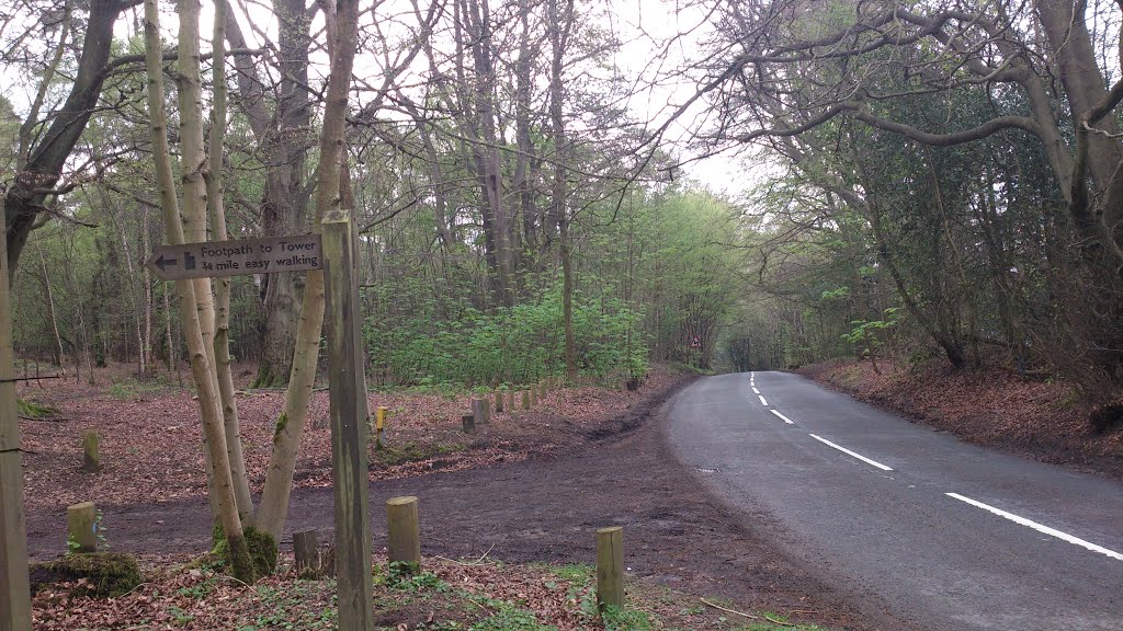 Leith Hill, Dorking, Surrey, UK by Michael Boks