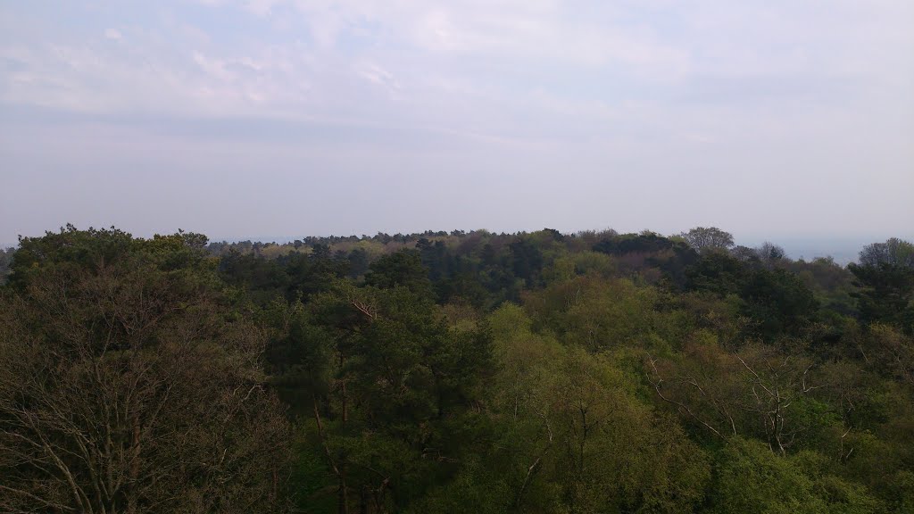 Leith Hill, Dorking, Surrey, UK by Michael Boks