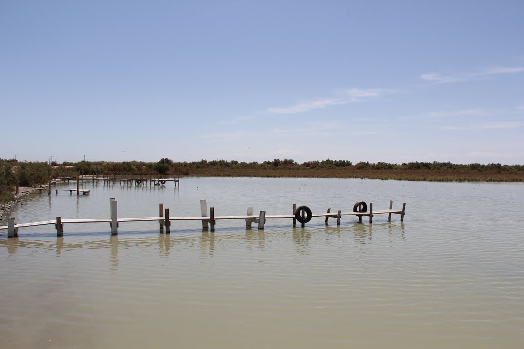 Salton Sea pier near Sonny Bono Wildlife Refuge by EricHanscom