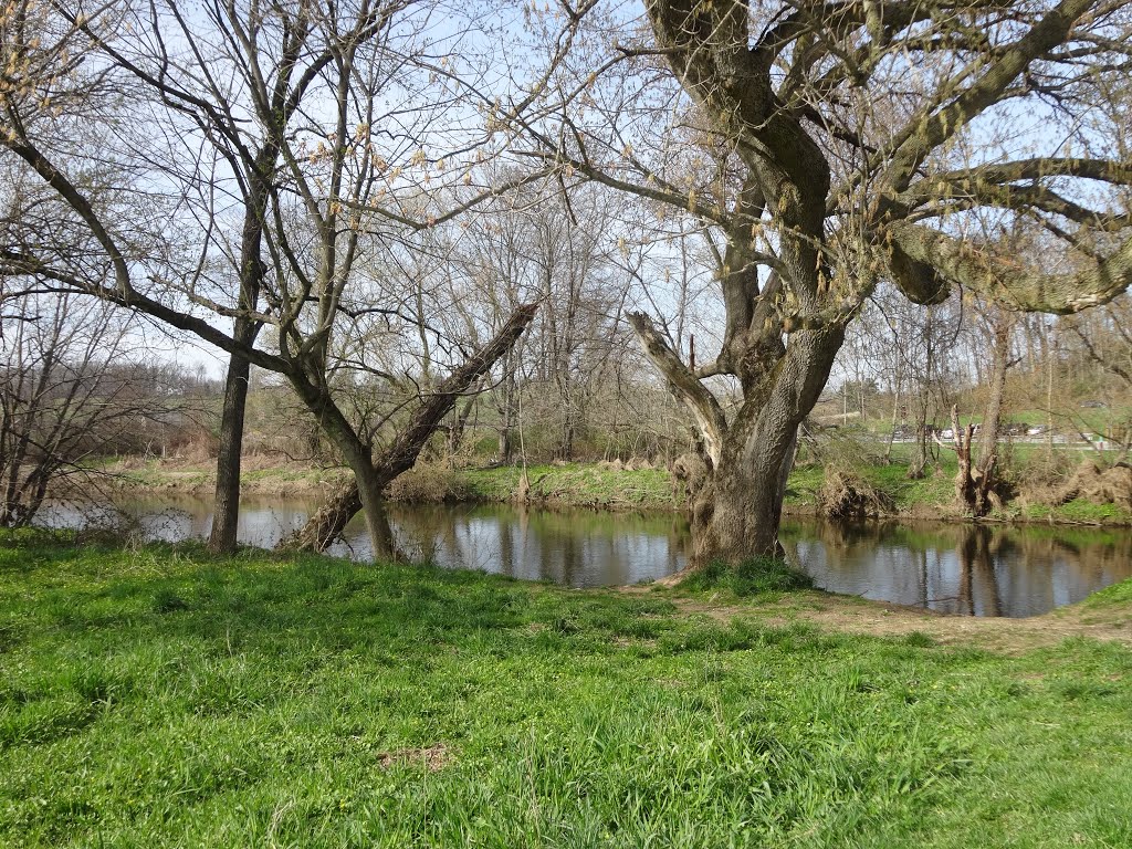 Brandywine Creek, East Branch, at the Stroud Preserve by chris1073