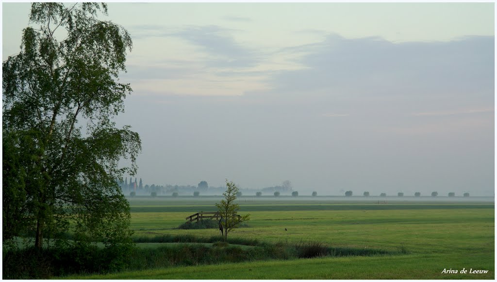 Woerden, early morning. by Arina de Leeuw.