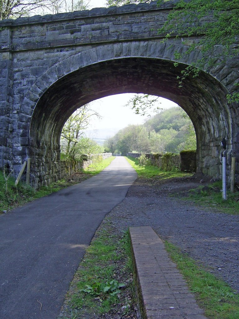 A view across Pont Sarn Viaduct form the old station site by welshgog