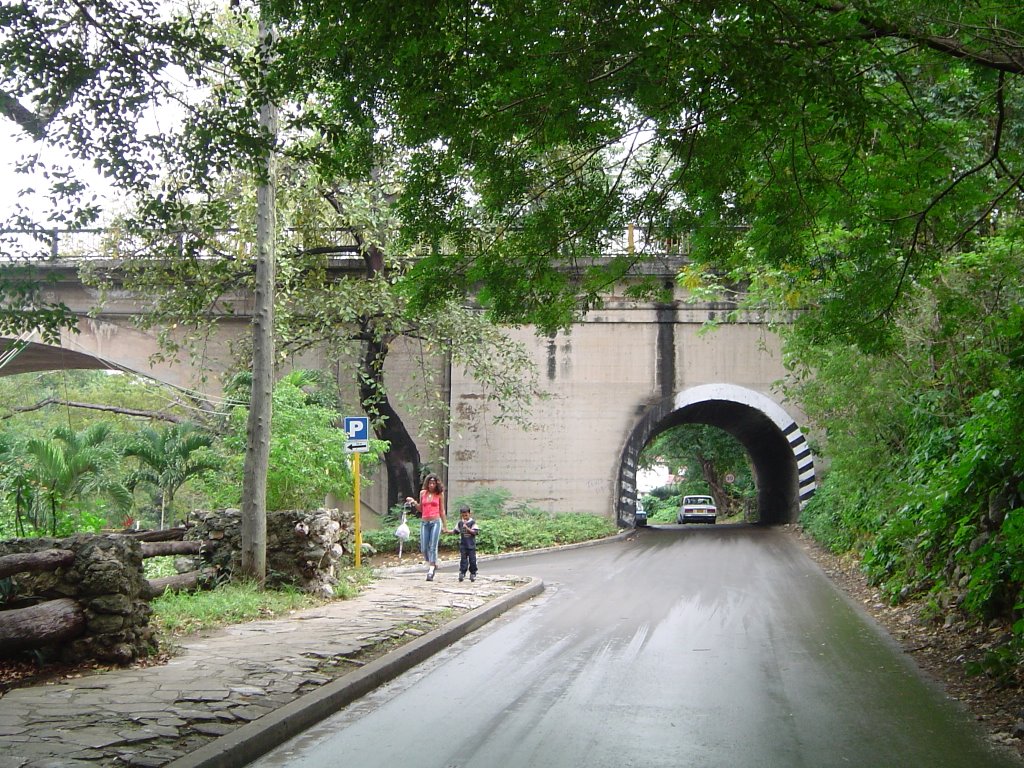 Tunnel in Havana Forrest, Cuba by LuisMoro