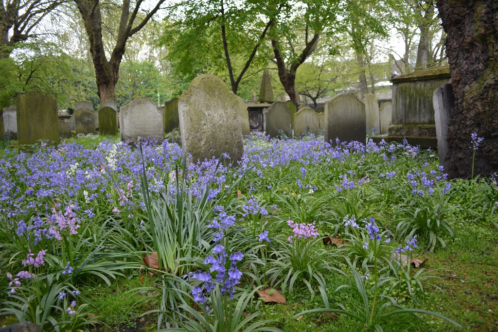 14-04-21 THOMAS BAYES Bunhill Fields London by Mummervideo