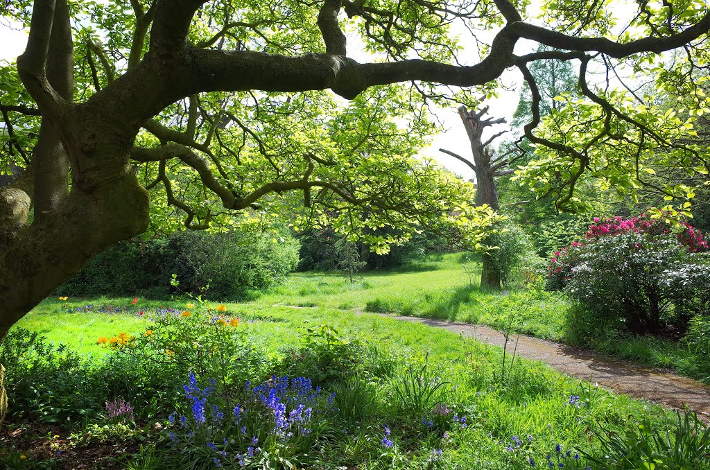 LONDON RUSKIN PARK by Alan McFaden