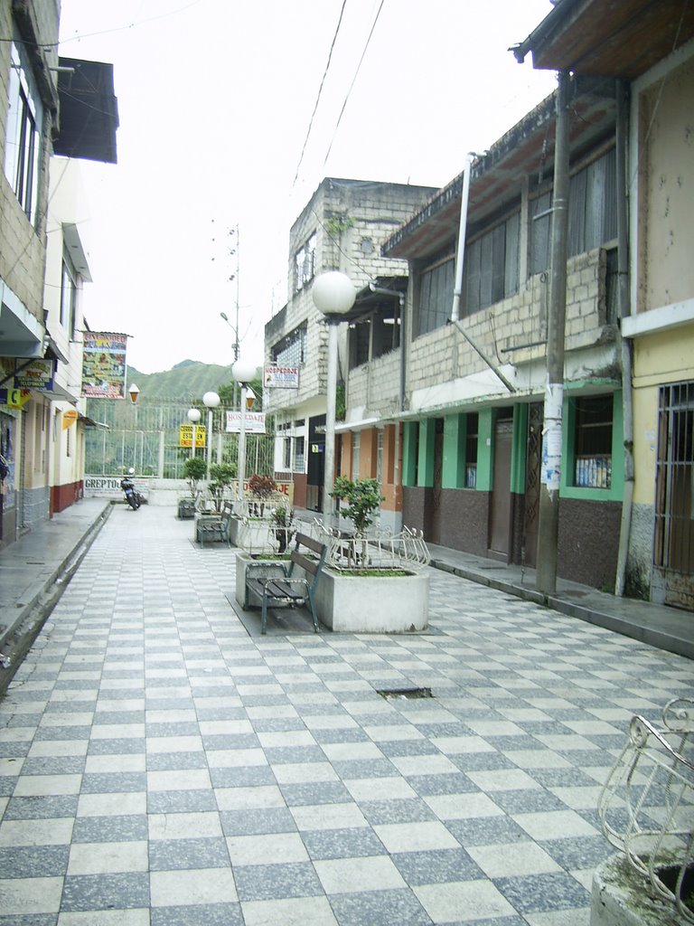 Centro, La Merced, Peru by pavelcom