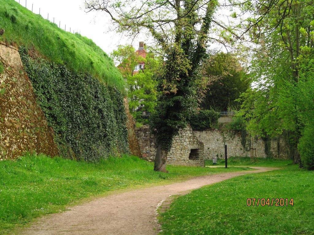 Rüsselsheim Fortress ramparts by Anuar T